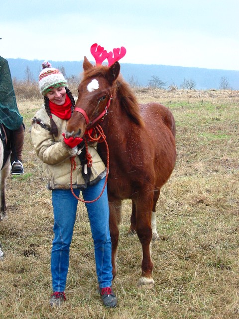 L�saj�c� se Los