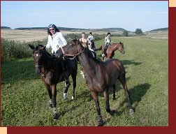 V�let do �elkovic