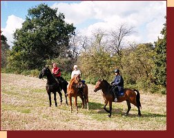 V�let na Dolton ranch