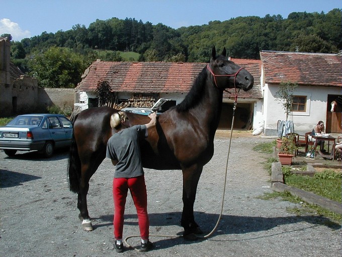 Chobotnatec M��ek