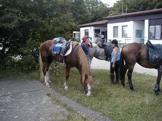 Ob�erstvovac� p�est�vka