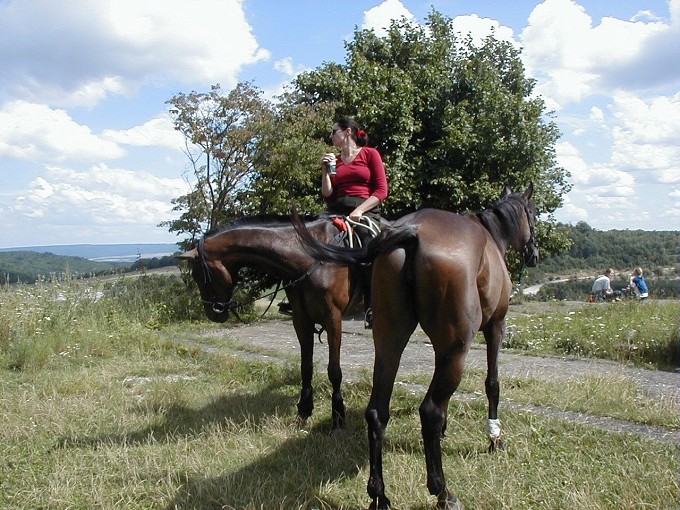 Ob�erstvovac� p�est�vka