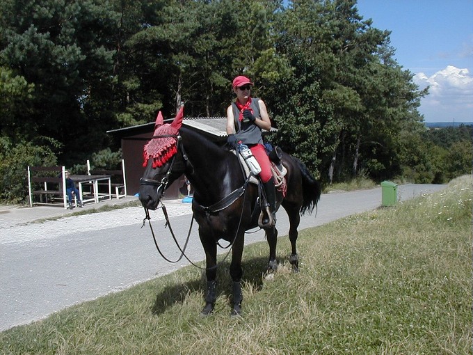 Ob�erstvovac� p�est�vka